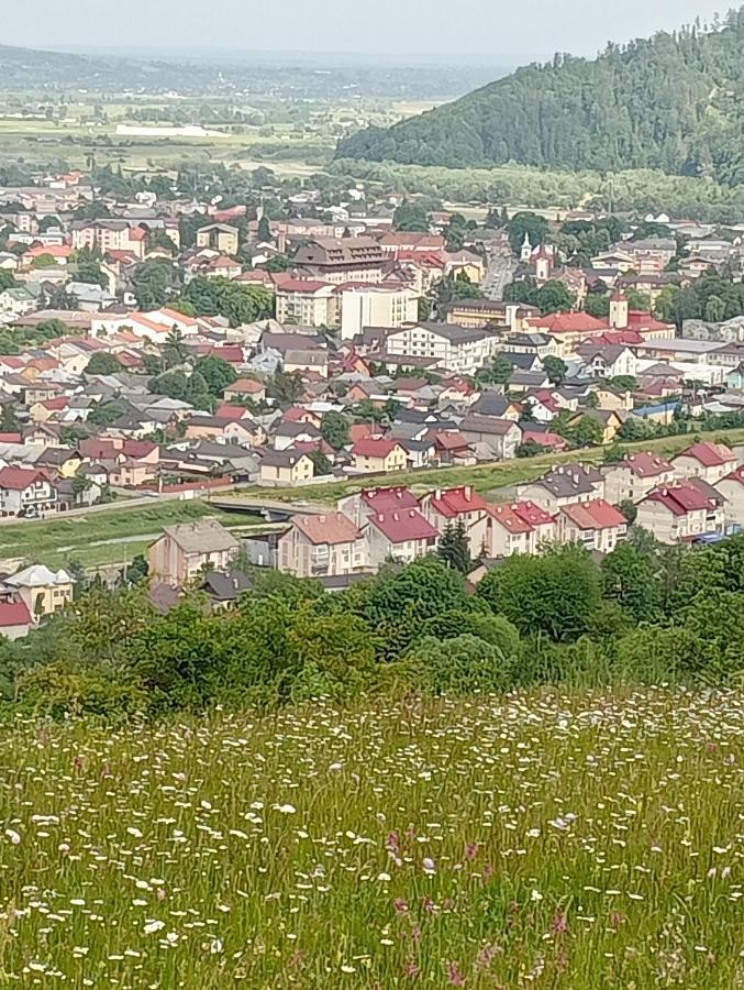Casa Popa Hotel Gura Humorului Buitenkant foto